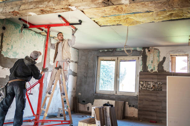 Best Cellulose Insulation in Oakland, TN